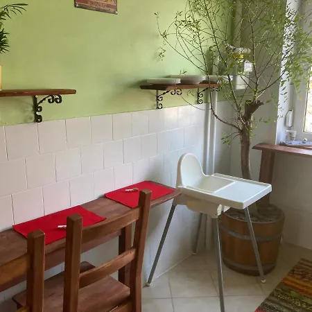 Palmahaz Budapest